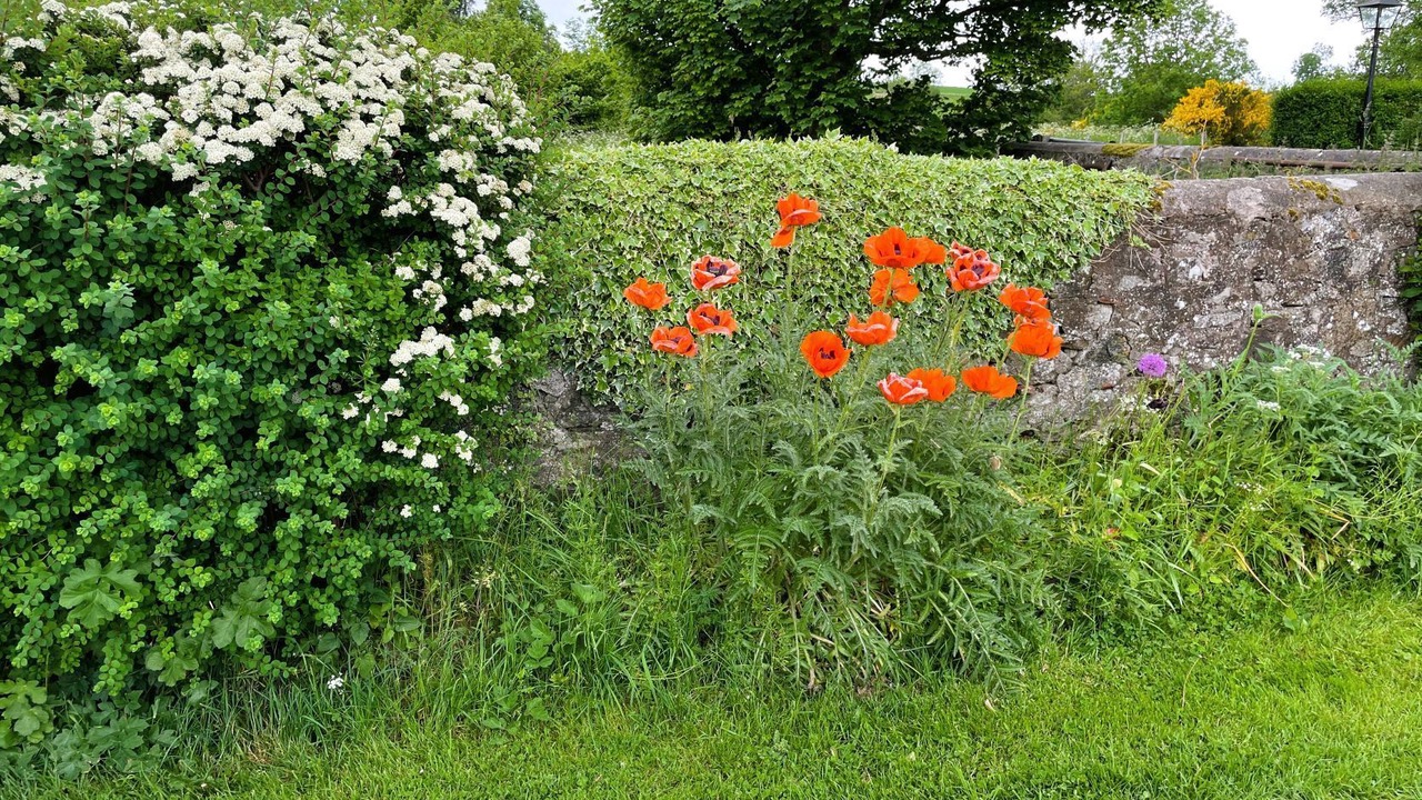 Photo of Outdoor in Aberchirder