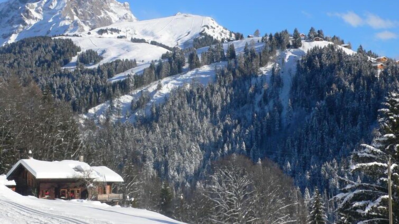 Photo of Others in Villars-sur-Ollon
