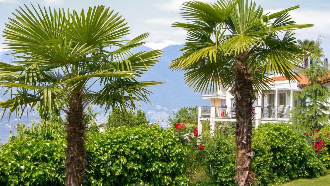 Photo of Others in Piazzogna