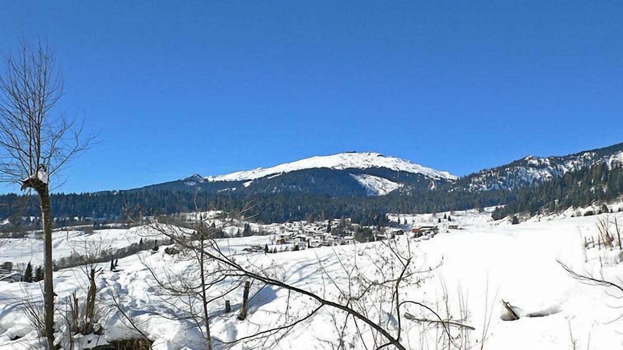 Photo of Others in Flims