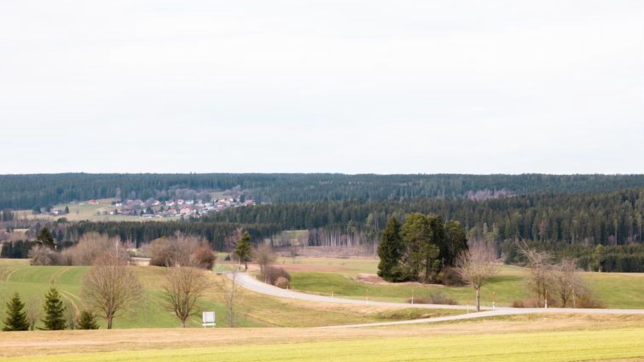 Photo of Others in Loffingen