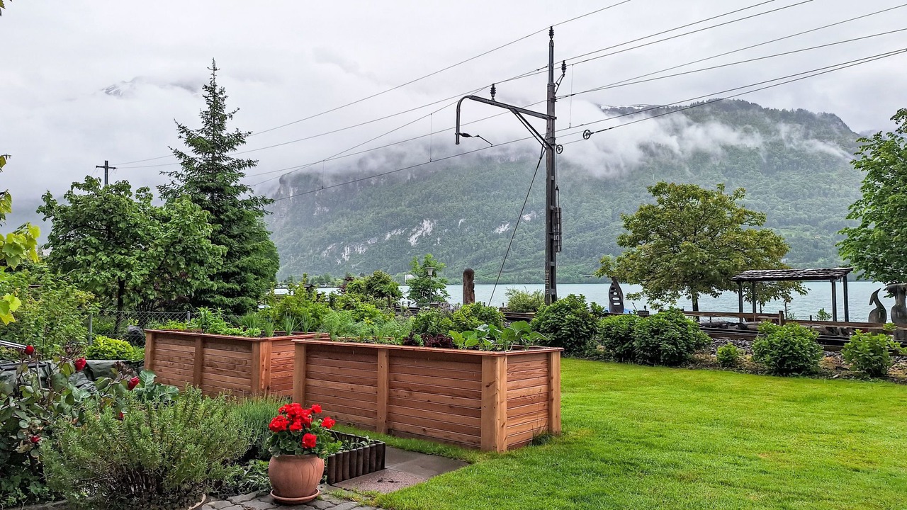 Photo of Others in Brienz