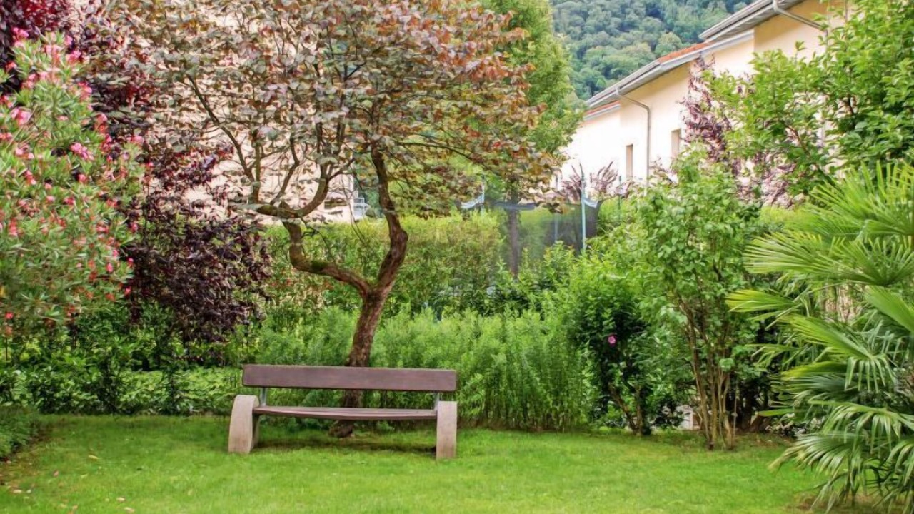 Photo of Others in Caslano