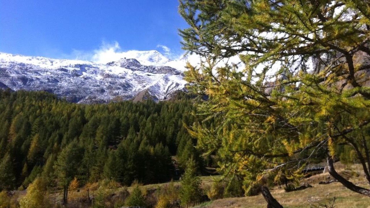 Photo of Others in Saas-Fee