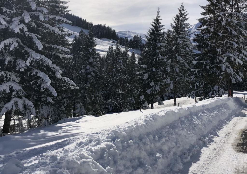 Photo of Others in Adelboden