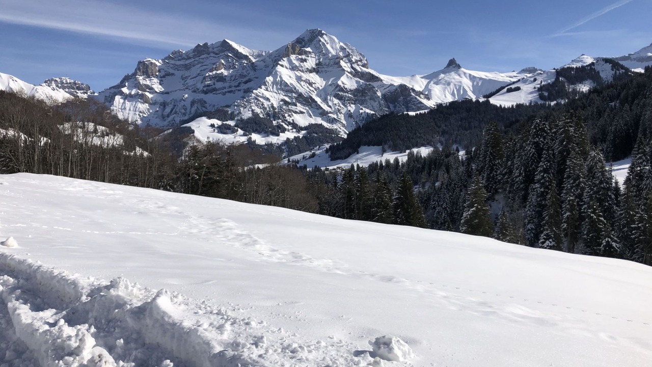 Photo of Others in Adelboden