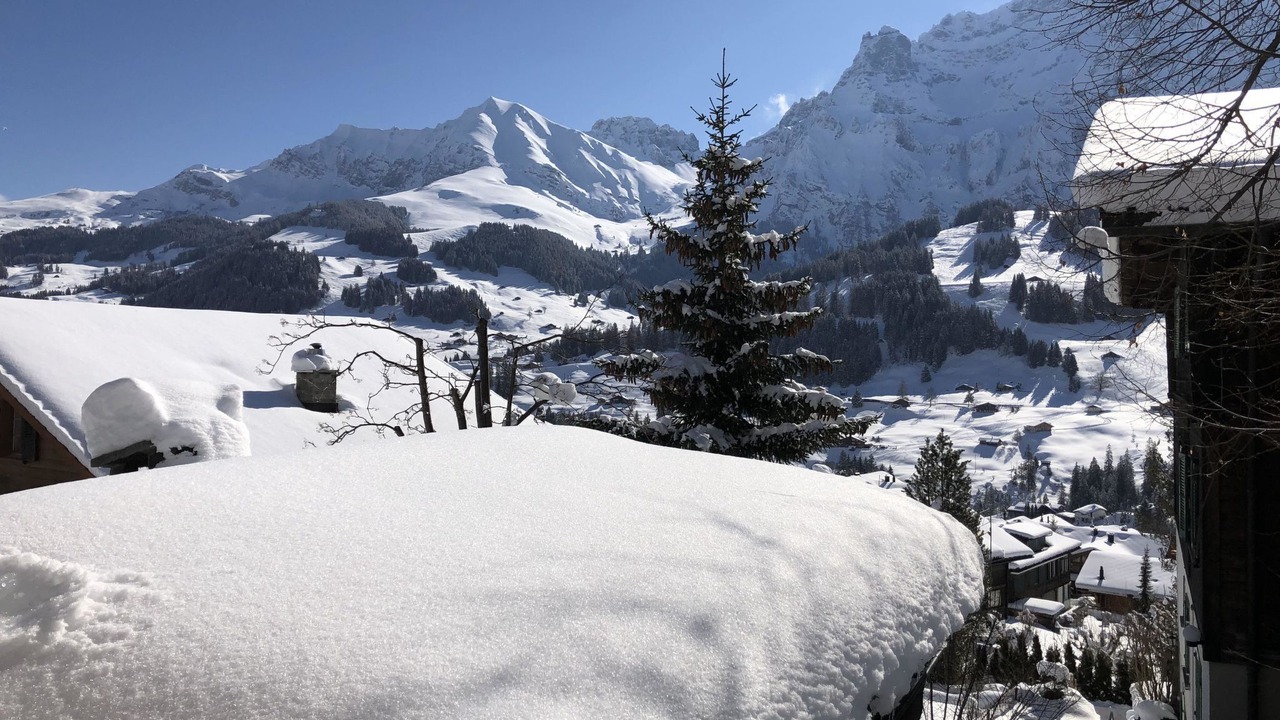 Photo of Others in Adelboden