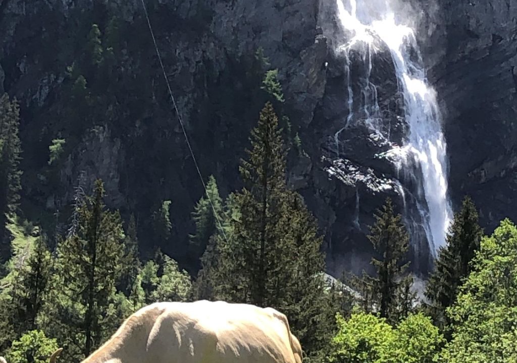 Photo of Outdoor in Adelboden