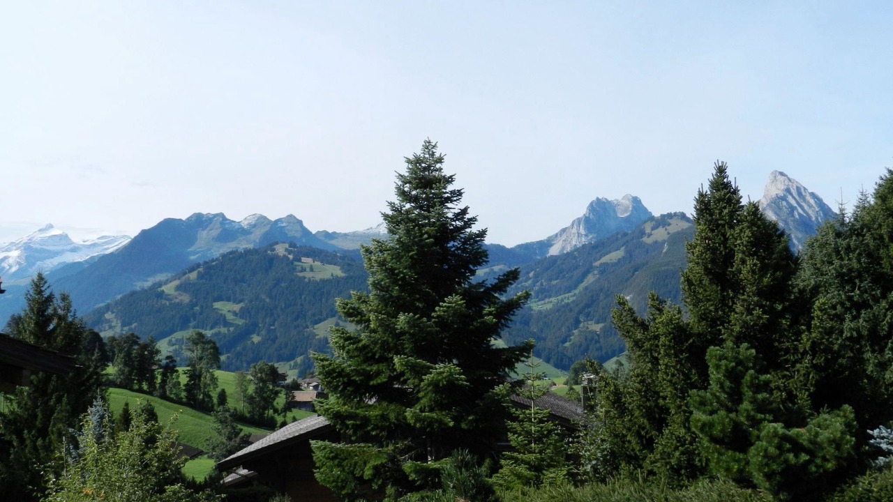 Photo of Others in Schoenried