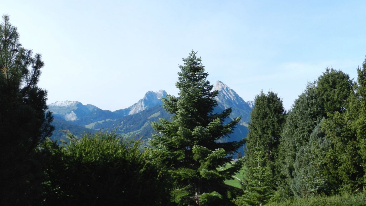 Photo of Others in Schoenried