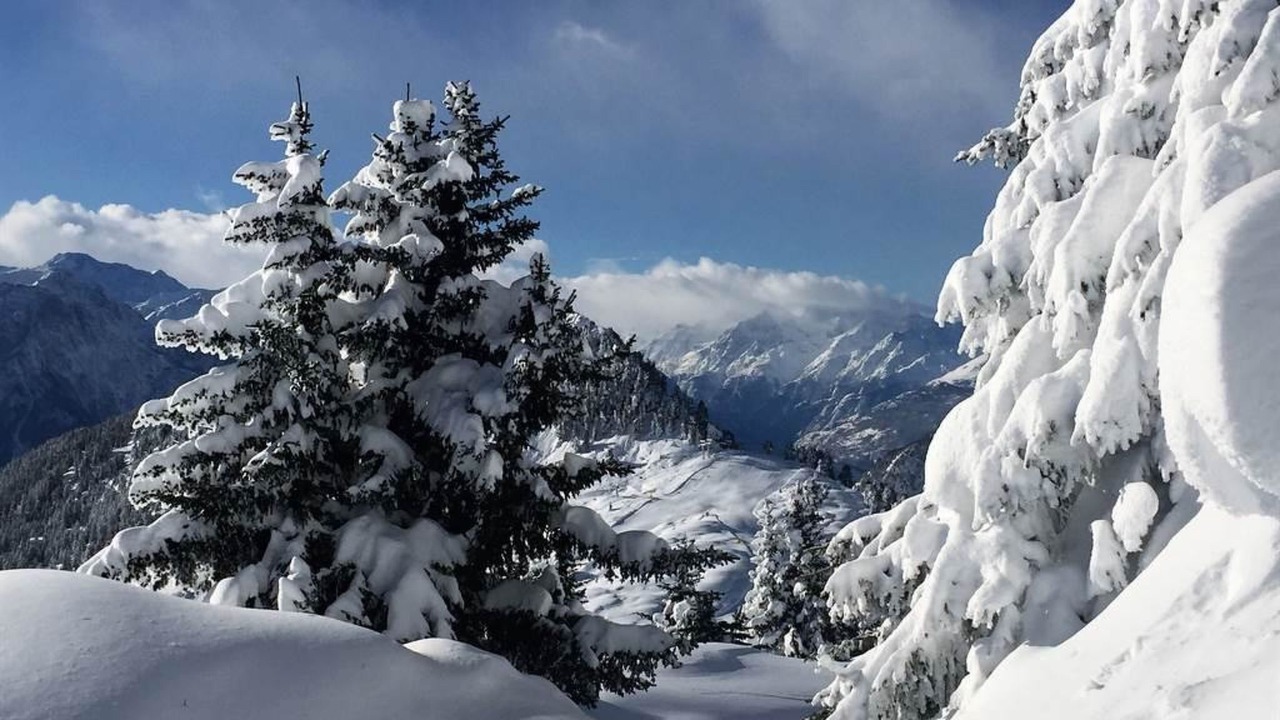 Photo of Others in Riederalp