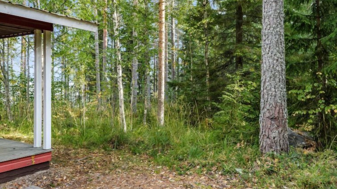 Photo of Outdoor in Nurmes