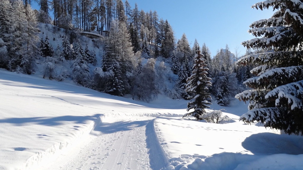Photo of Others in Engadin Scoul
