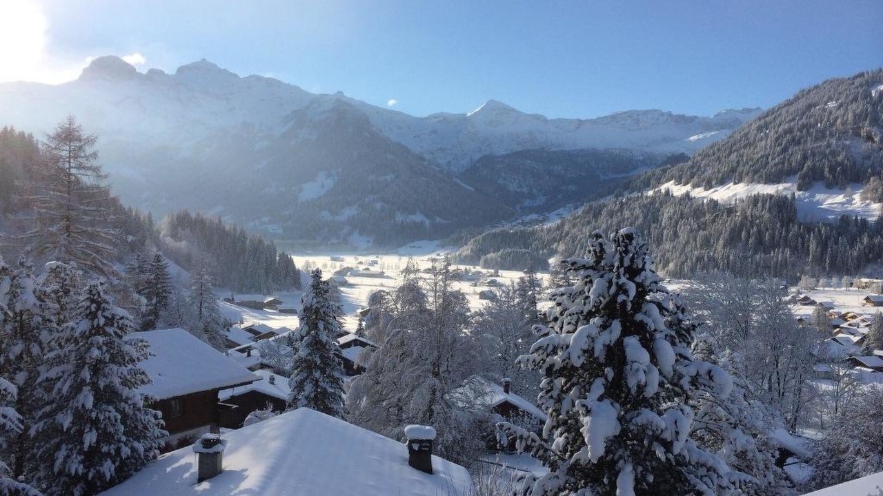 Photo of Others in Lenk