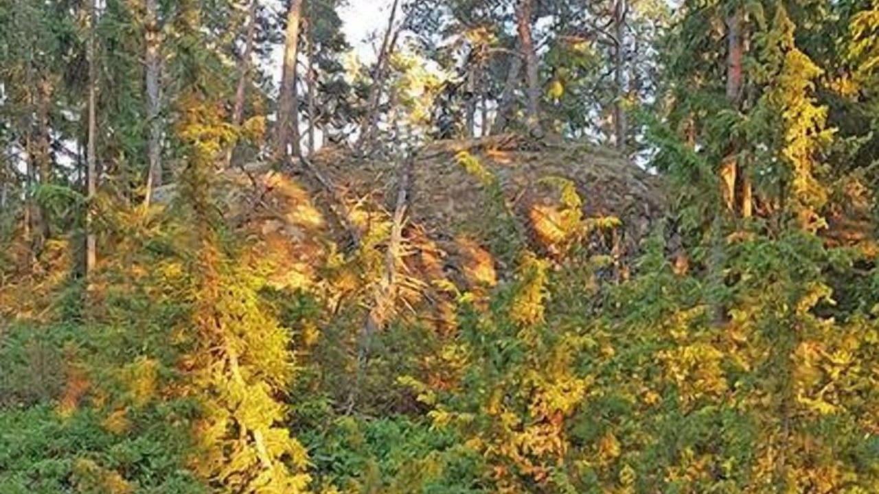 Photo of Outdoor in Rosala