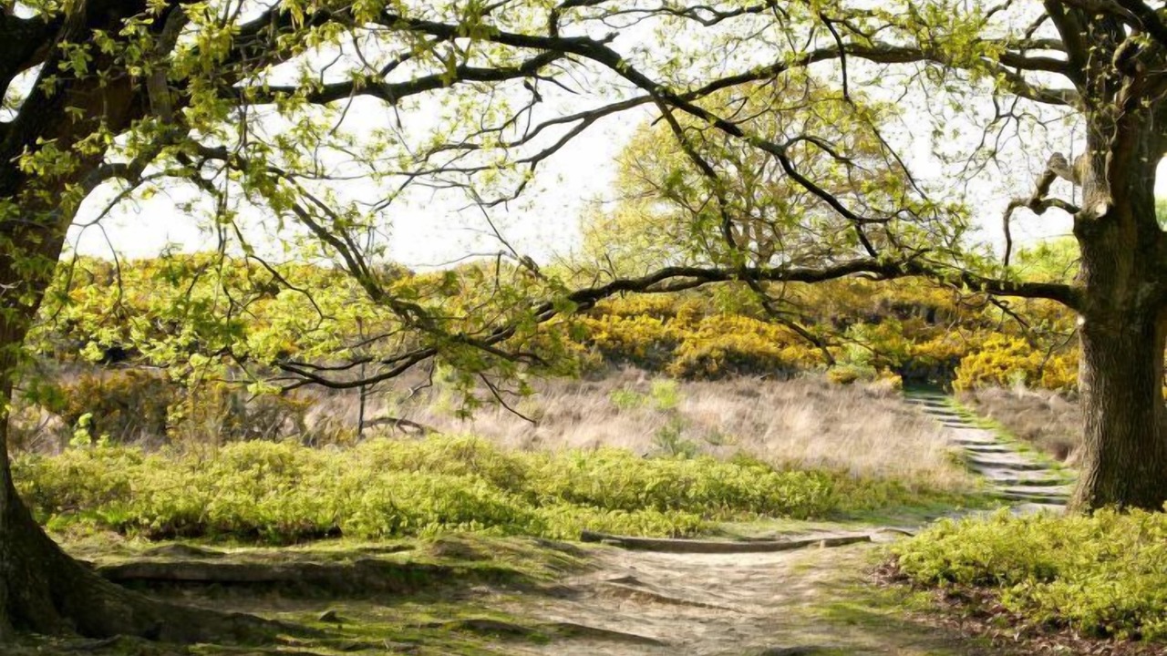 Photo of Outdoor in Lochem