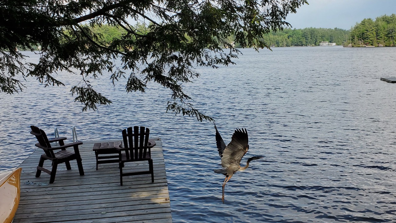 Photo of Outdoor in Bala
