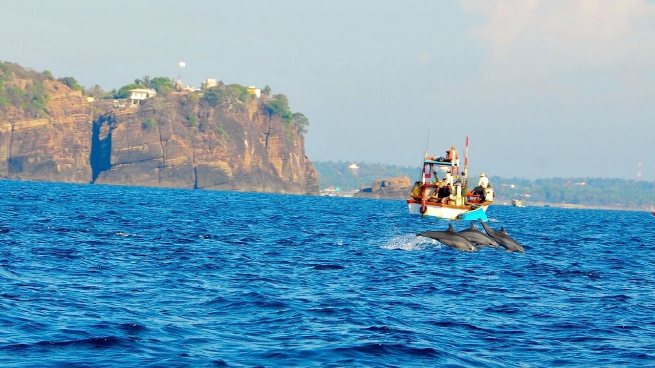 Photo of Others in Trincomalee