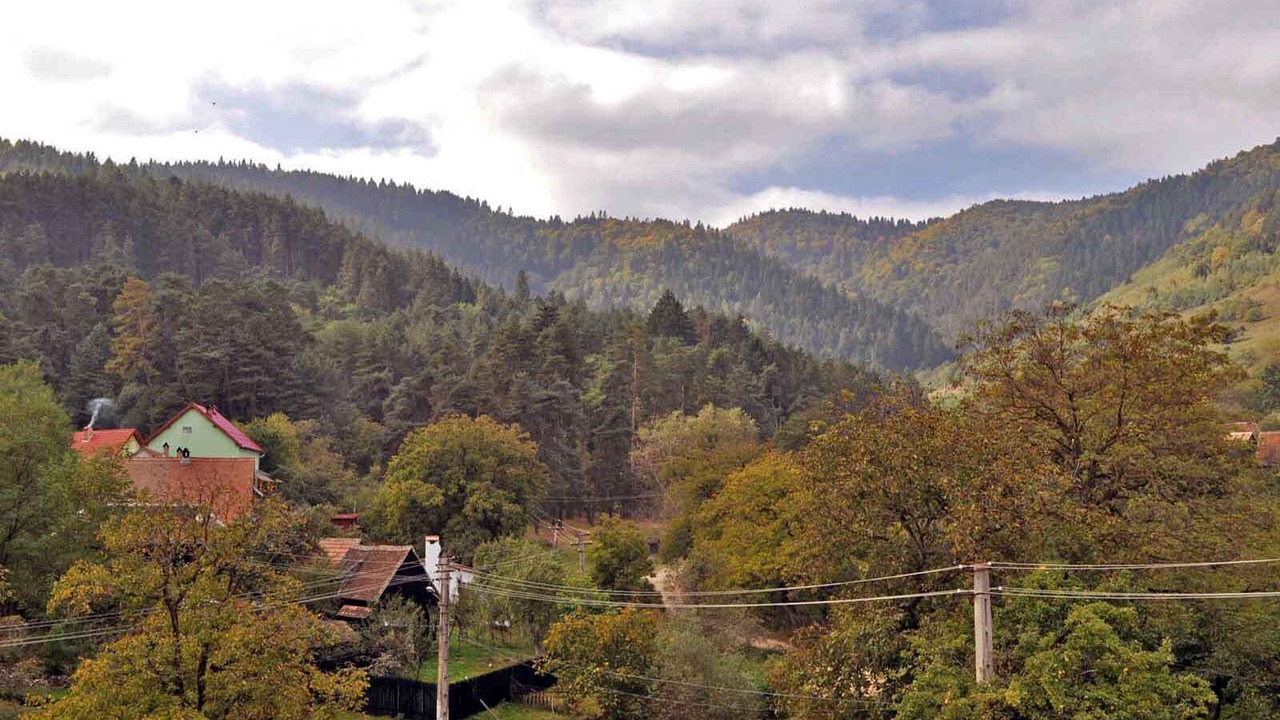 Photo of Others in Saliste
