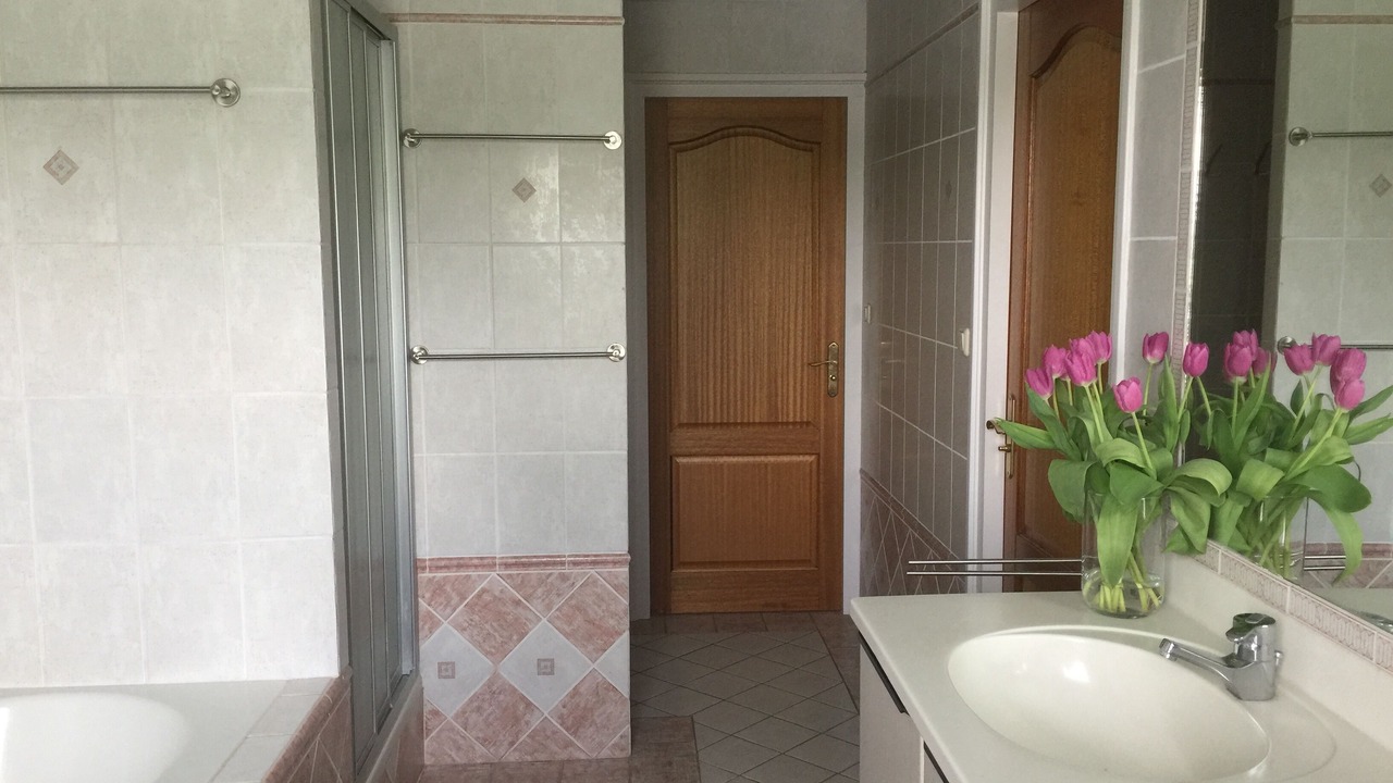 Photo of Bathroom in Scharsterbrug