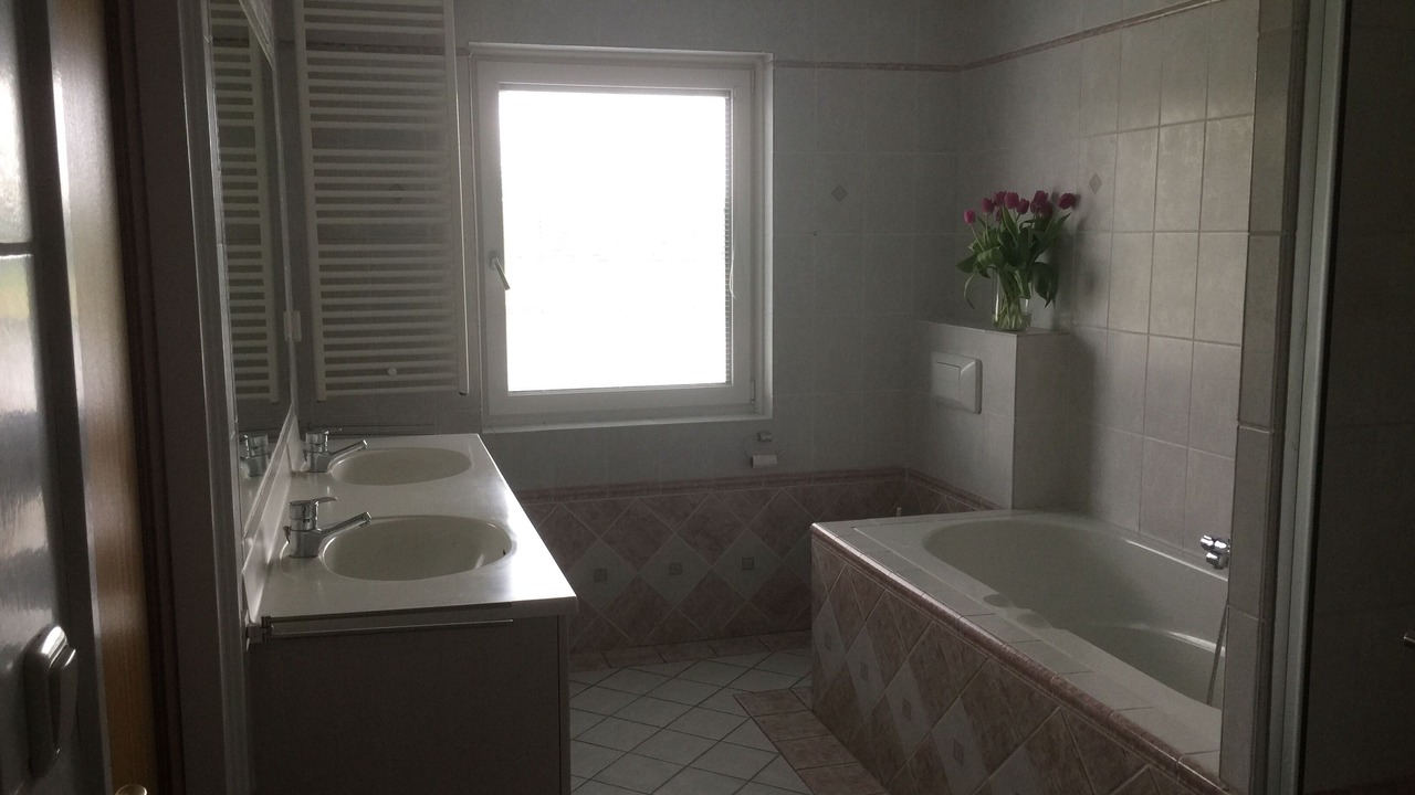 Photo of Bathroom in Scharsterbrug