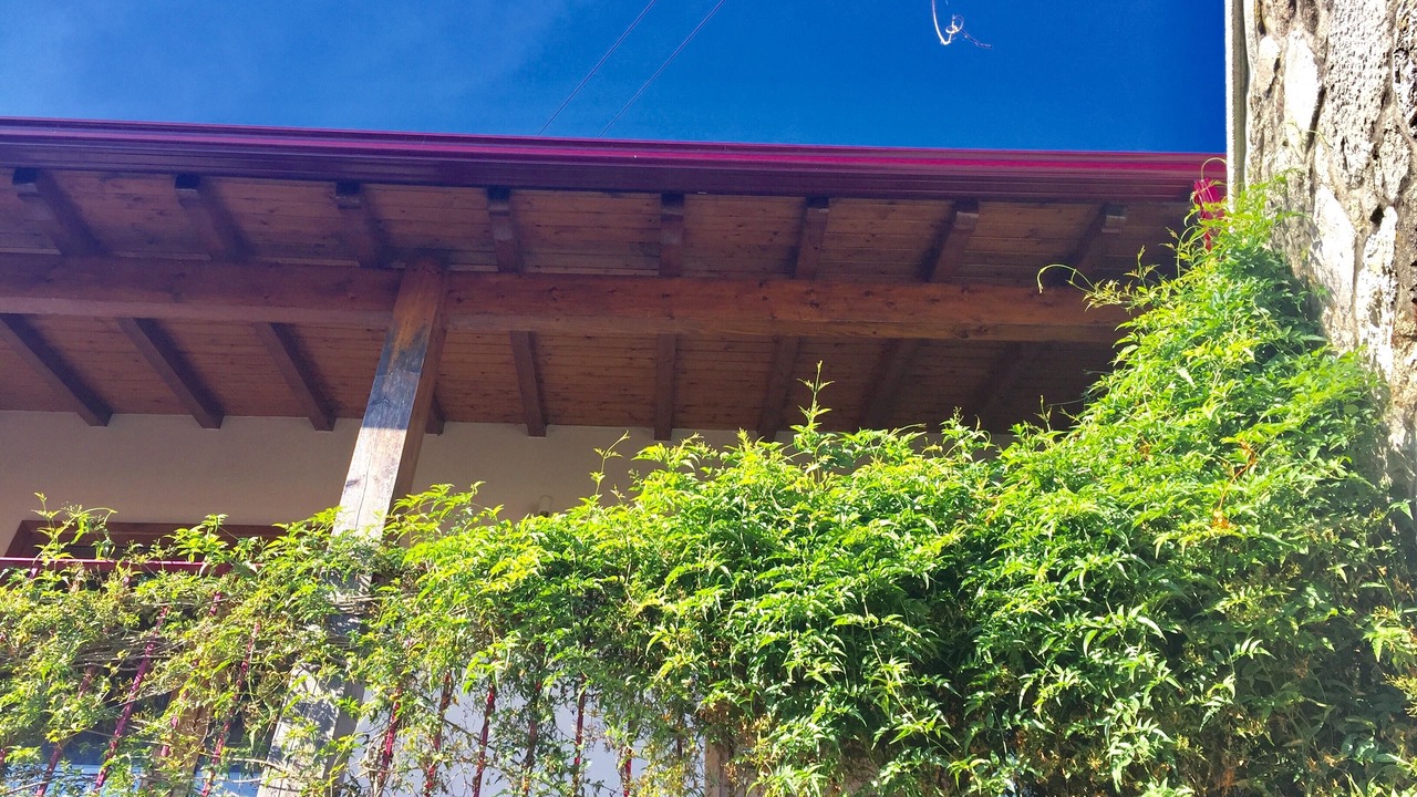 Photo of Outdoor in Cabril