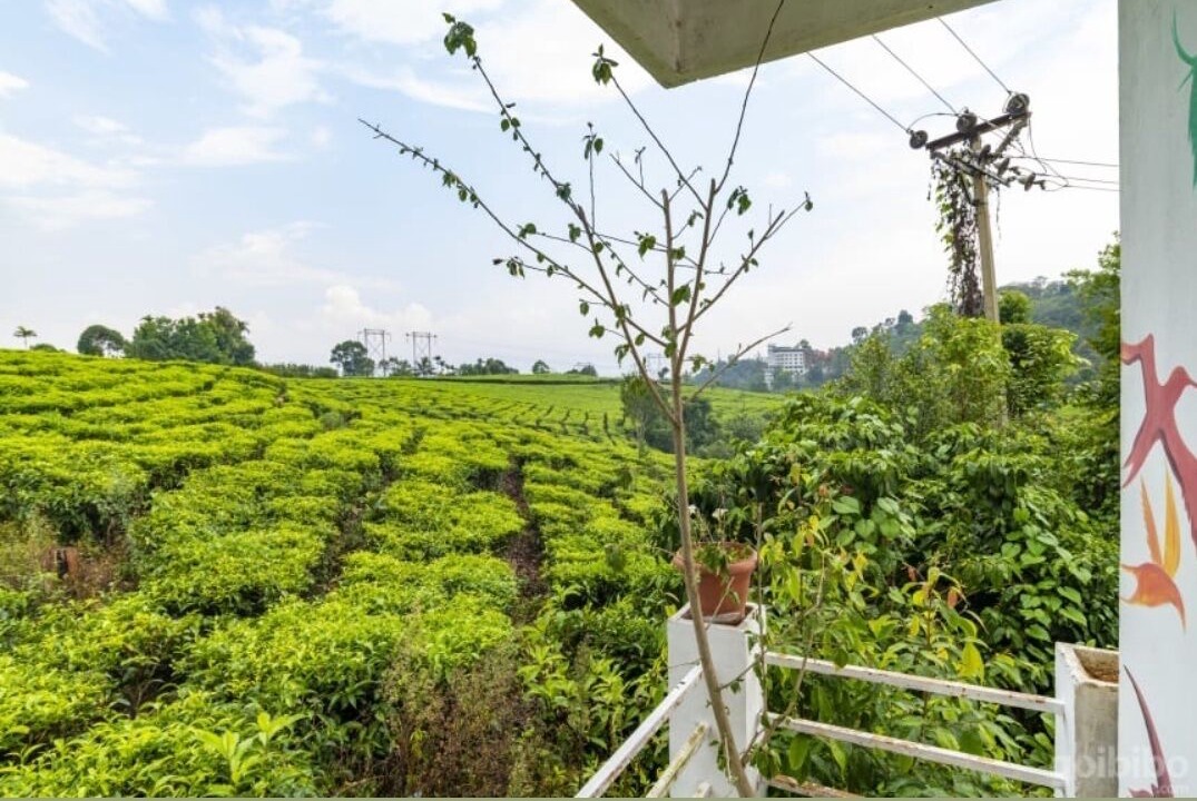 Photo of Outdoor in Chithirapuram