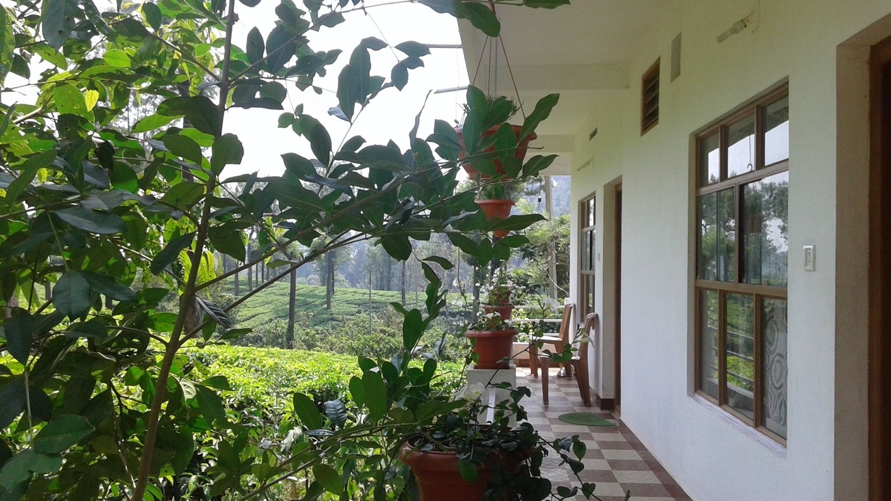 Photo of Outdoor in Chithirapuram