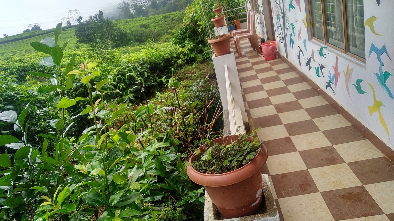Photo of Outdoor in Chithirapuram