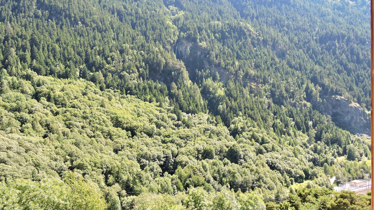 Photo of Others in Orelle
