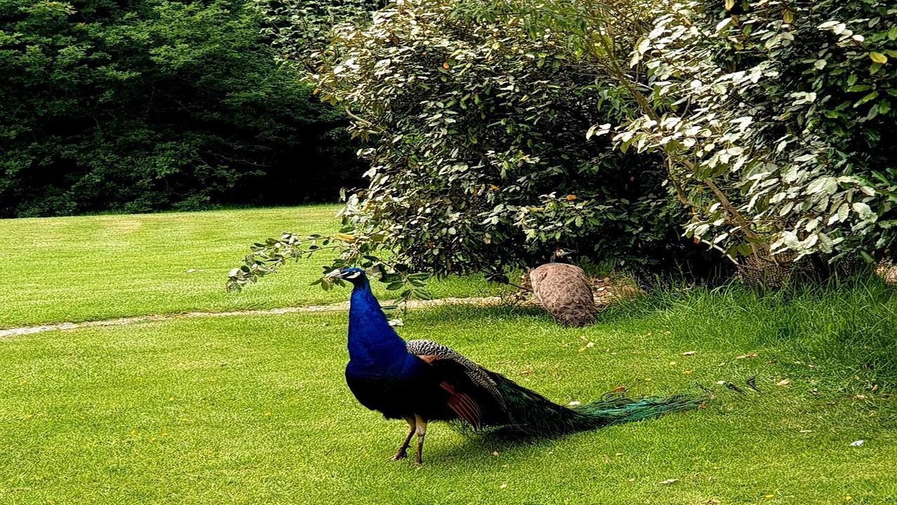 Photo of Outdoor in Abbess Roding