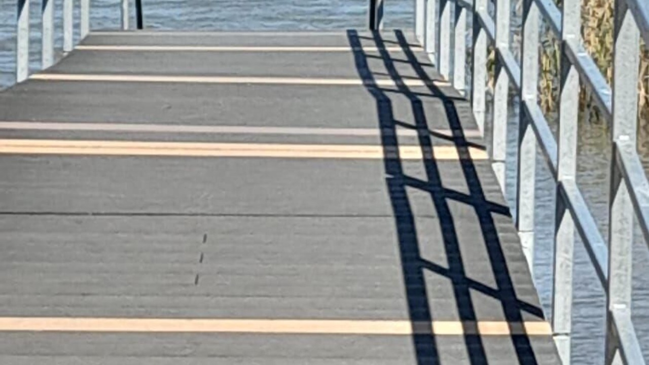 Photo of Others in Balatonmariafurdo