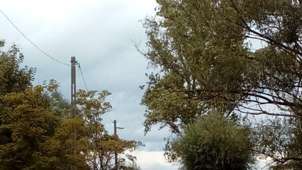 Photo of Others in Balatonmariafurdo