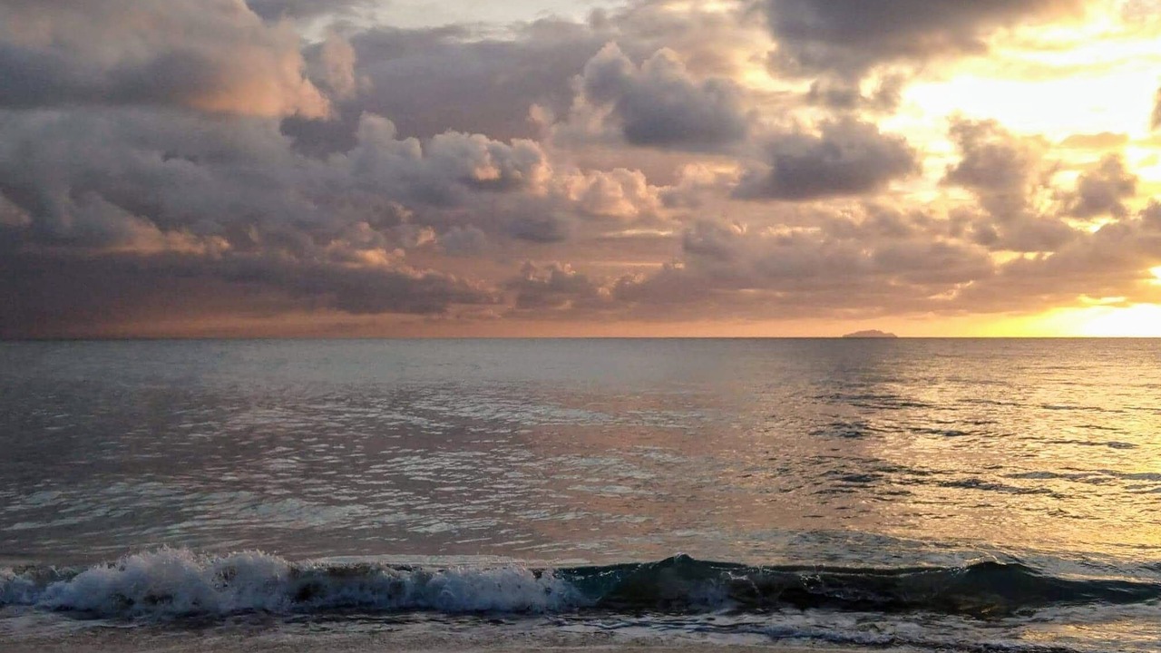 Photo of Others in Borinquen