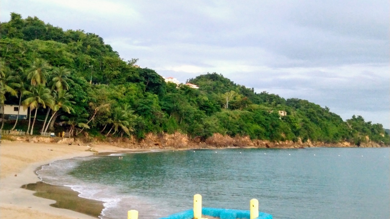Photo of Others in Borinquen