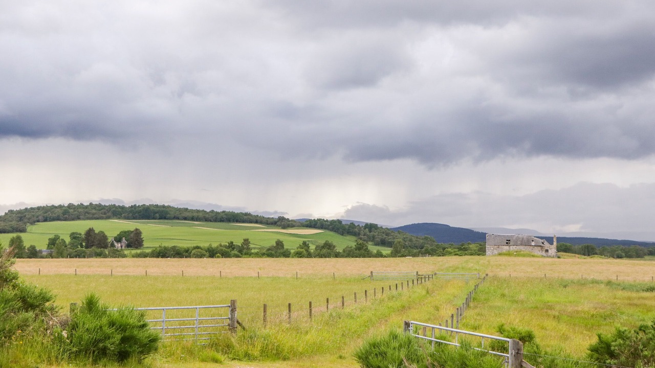 Photo of Others in Grantown-on-Spey