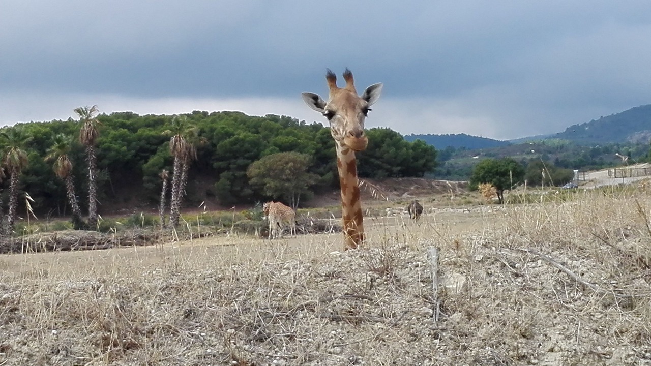 Photo of Others in Bages