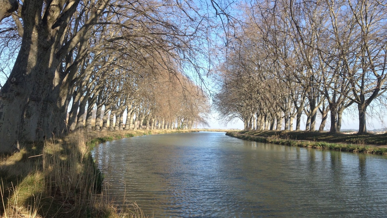 Photo of Others in Bages