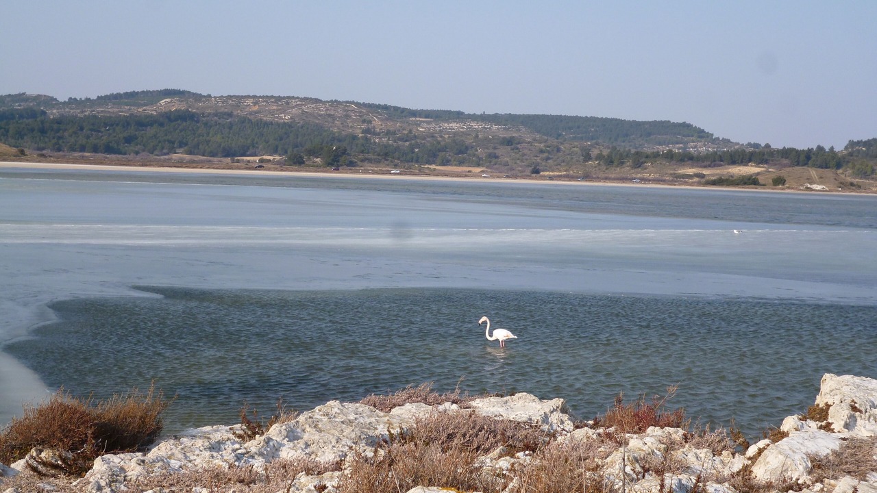 Photo of Others in Bages