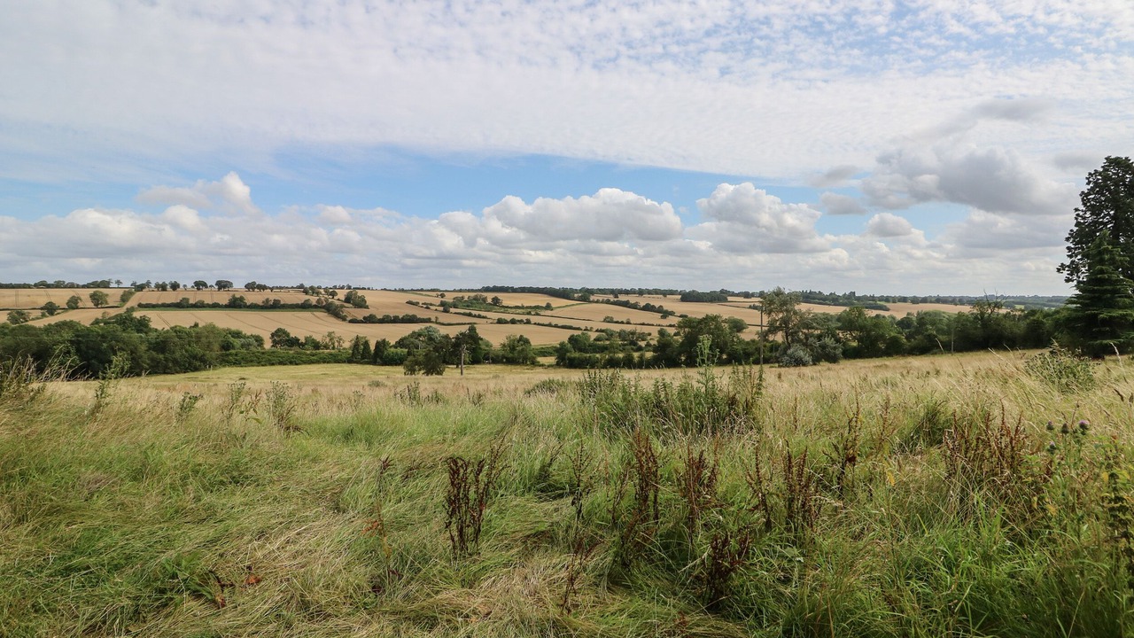 Photo of Others in Longdon