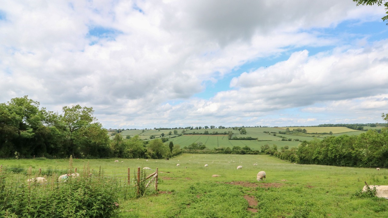 Photo of Others in Longdon