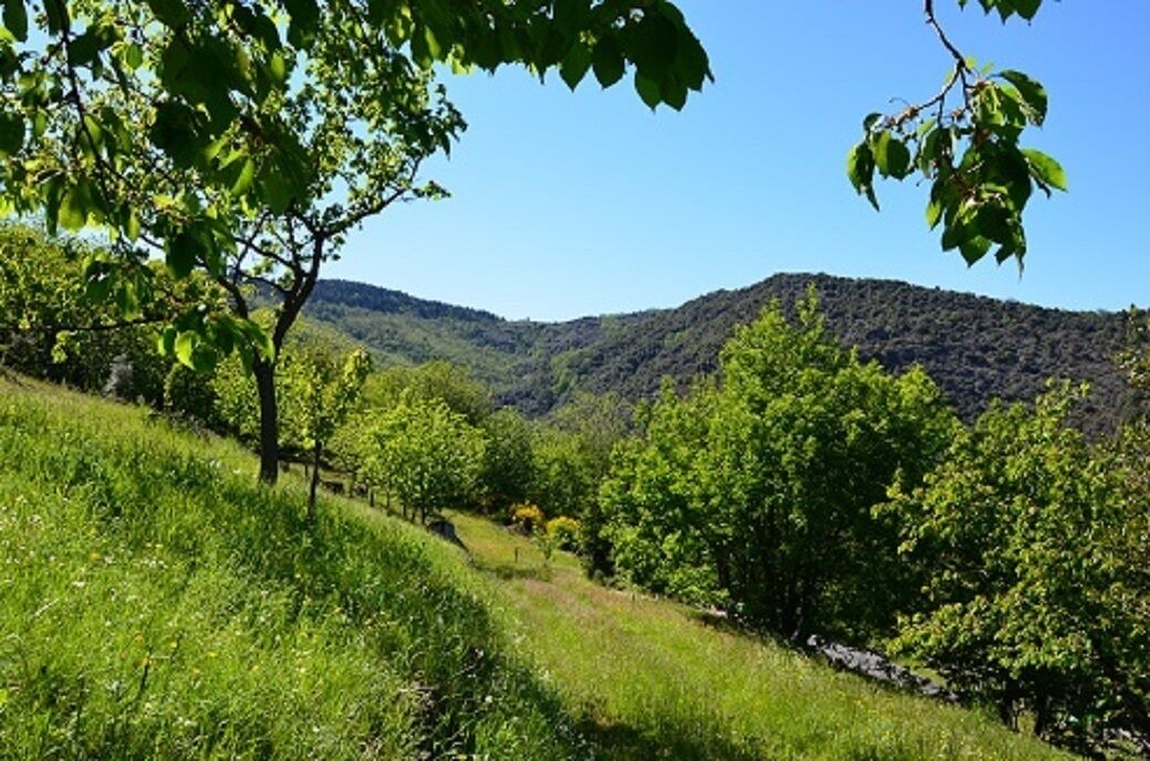 Photo of Outdoor in Navas