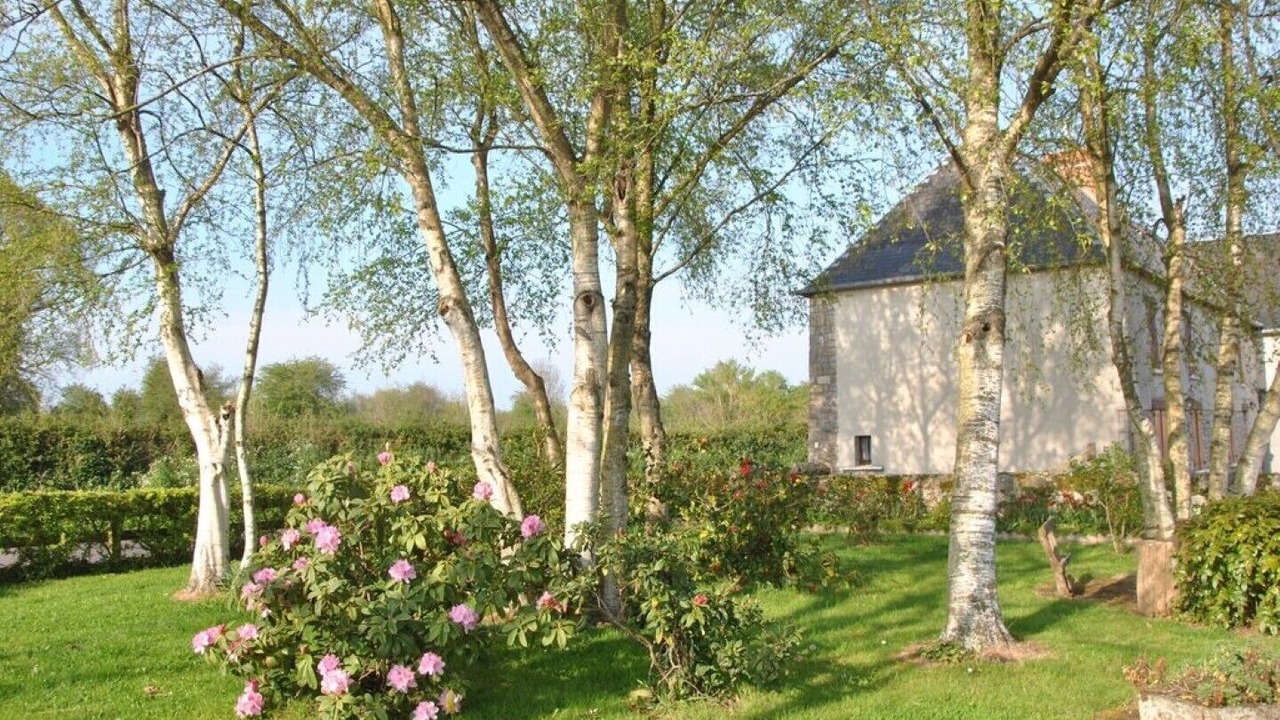 Photo of Outdoor in Tribehou
