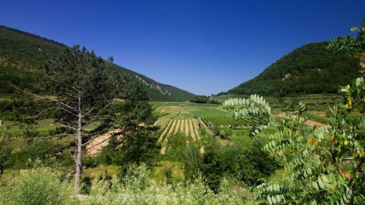 Photo of Others in Hrastovlje