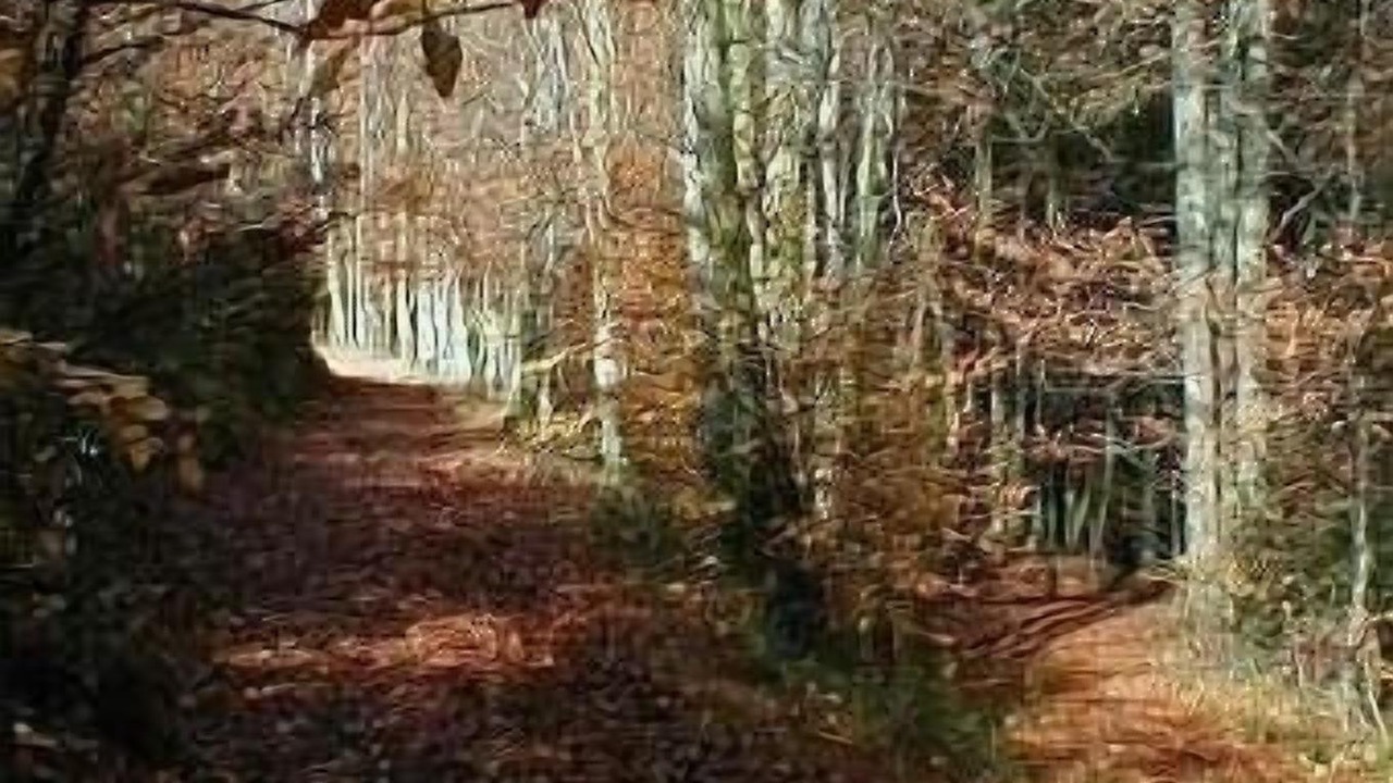 Photo of Outdoor in Le Thillot