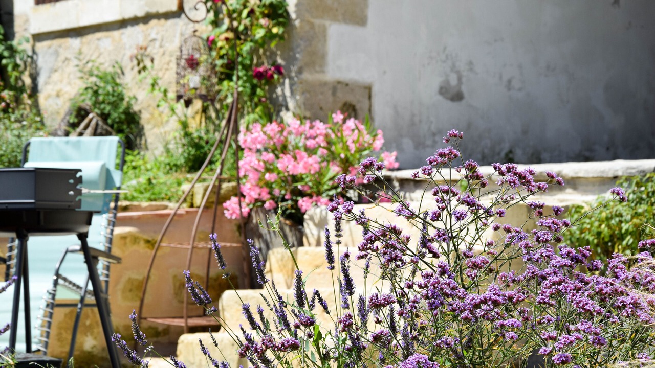 Photo of Outdoor in Saint-Aulaye-Puymangou