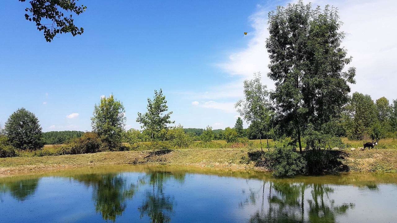 Photo of Others in Saint-Aulaye-Puymangou