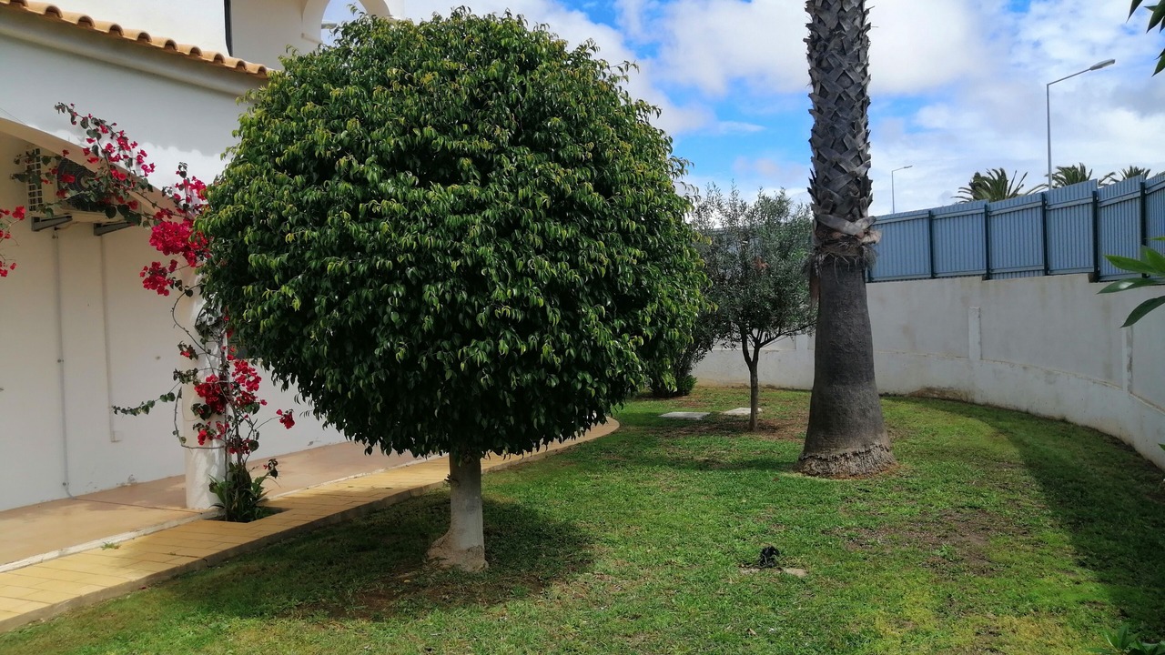 Photo of Outdoor in Guia
