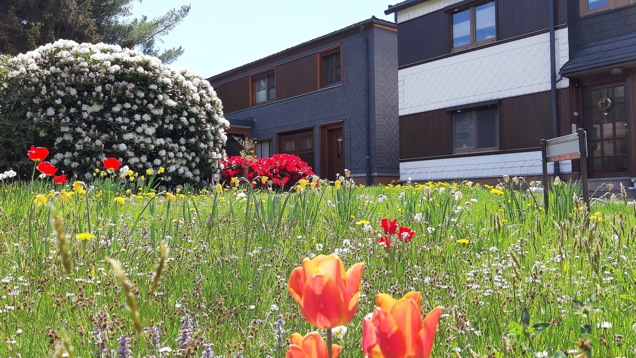 Photo of Outdoor in Meuselbach