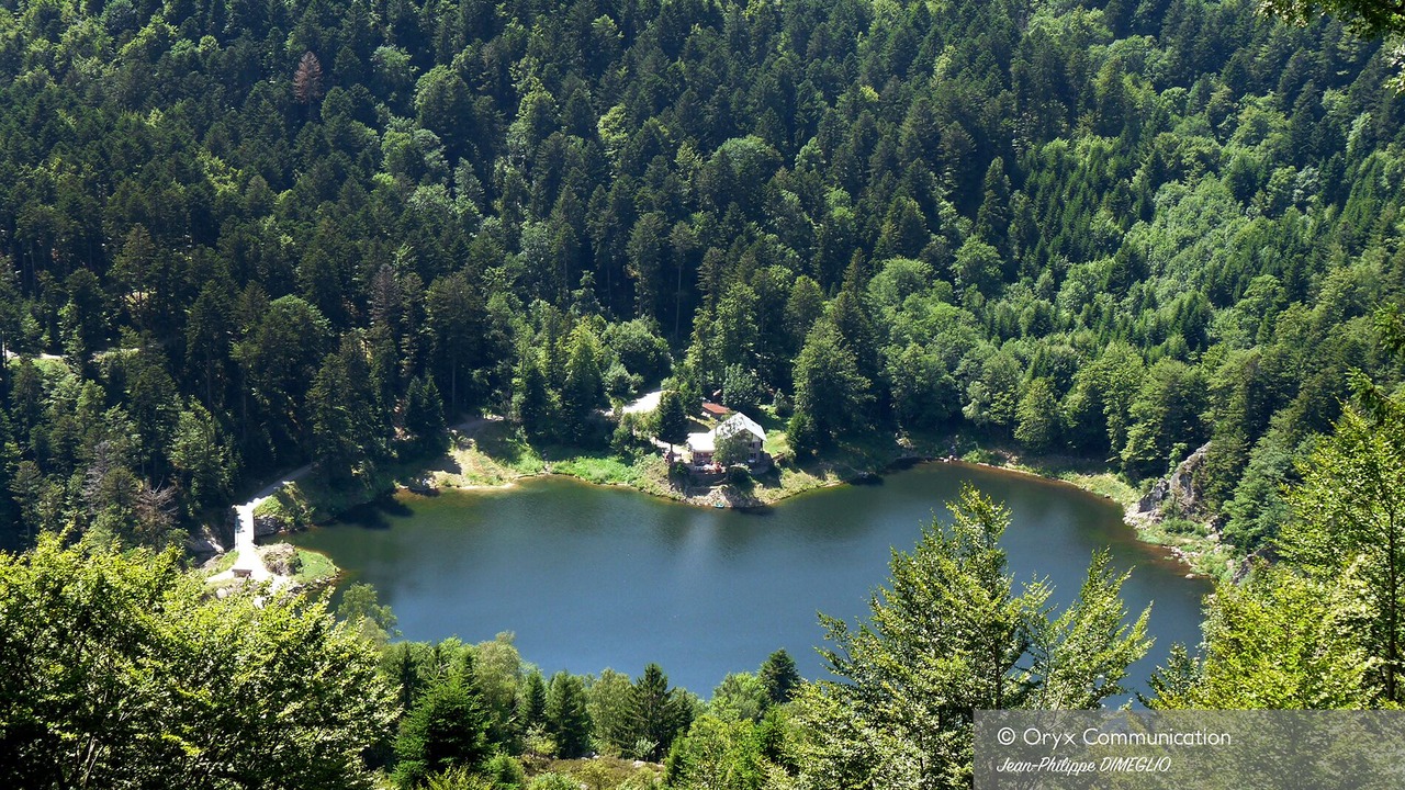 Photo of Outdoor in Masevaux